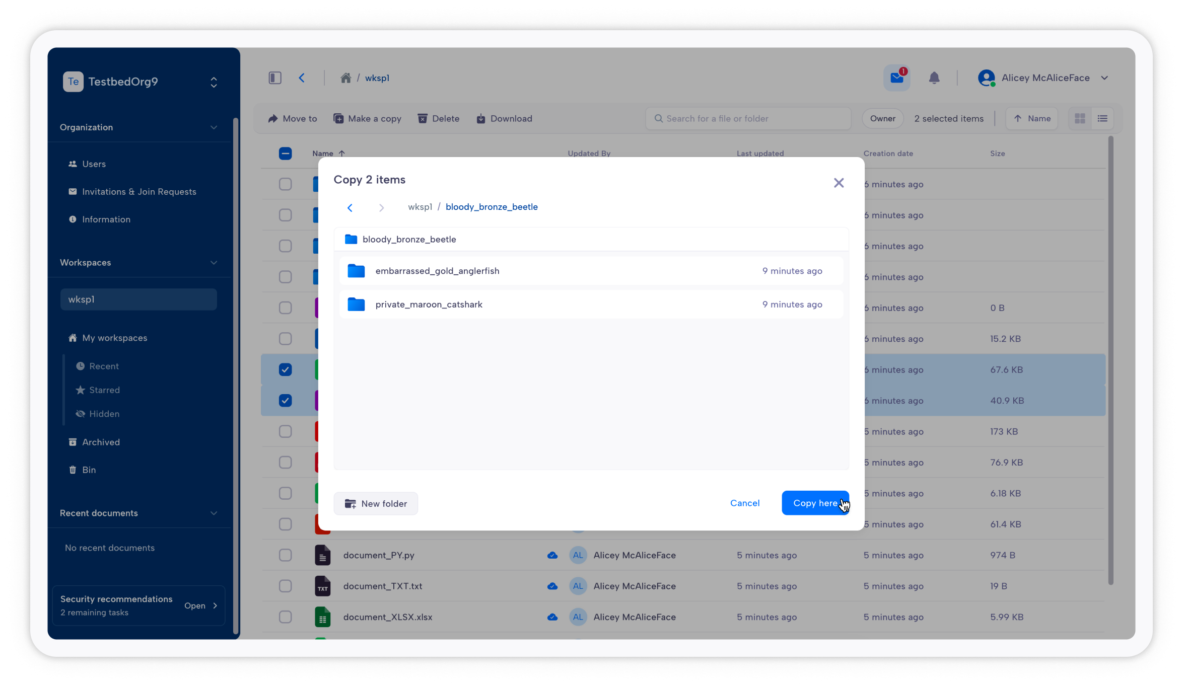 copy files screenshot